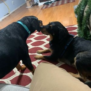 Meet your Posher, Krystal